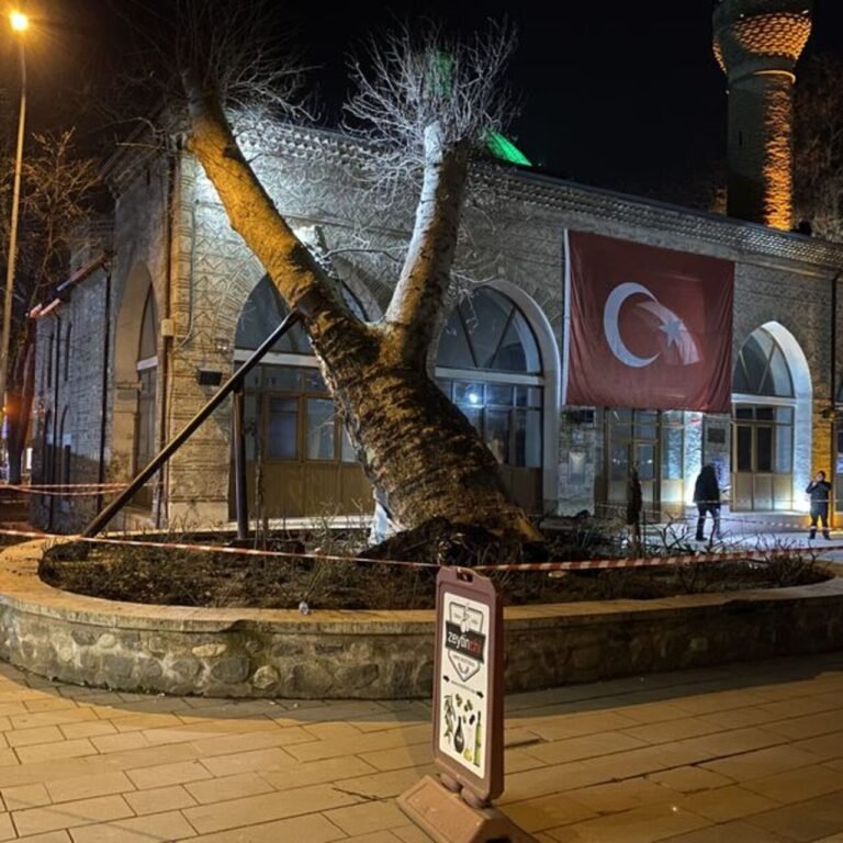 550 yıllık çınar ağacı, caminin üzerine devrildi