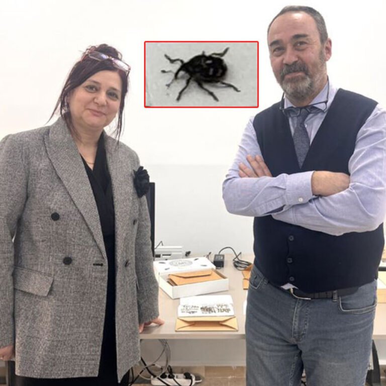 Böcek ama çok anlamlı..