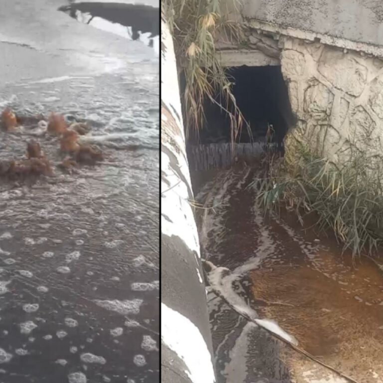 İzmir Büyükşehir'e "atık su" cezası