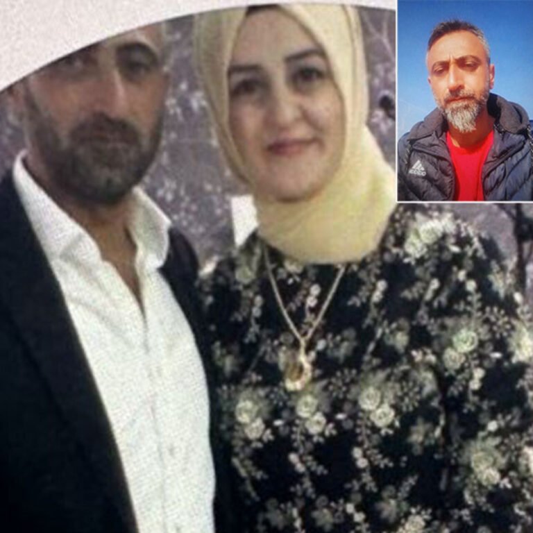 Kelebek misali..