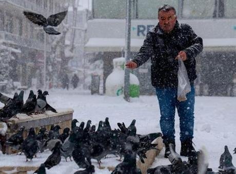 Sakarya'da karlı soğuk havada yürek ısıtan görüntü
