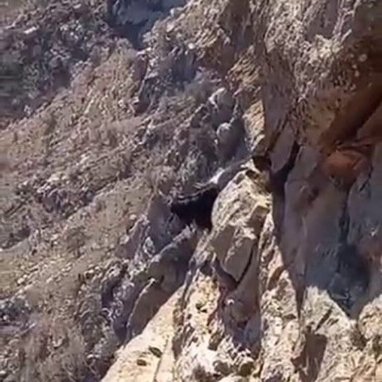 3 gündür kurtarılmayı bekliyorlar
