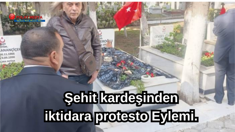 Yalnızlık Ve Güneş Temalı Masaüstü ArkaPlan (4)