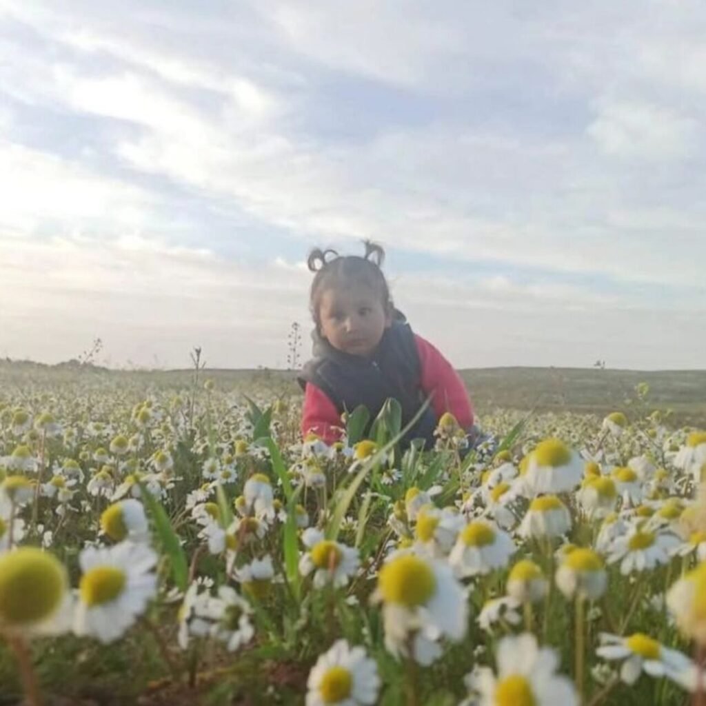 Aracın çarptığı minik Zeynep kurtarılamadı