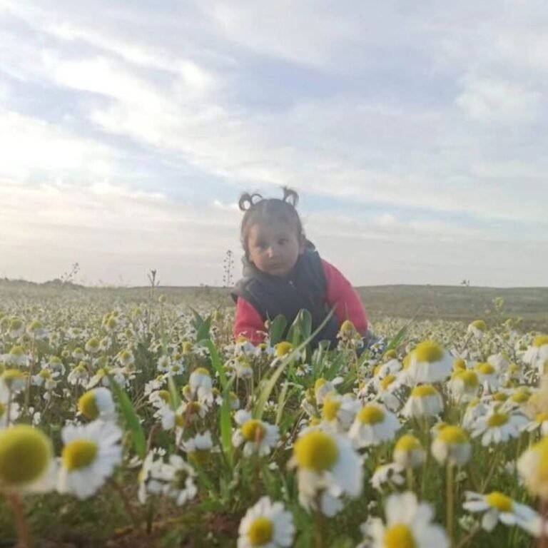 Aracın çarptığı minik Zeynep kurtarılamadı
