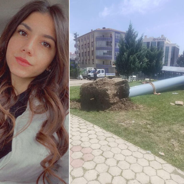 Ayşe'nin öldüğü 'reklam panosu' davasında 15 günde tahliye