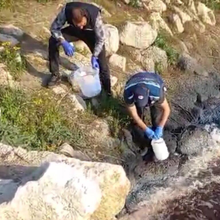 Bakanlık, Ceyhan'da inceleme başlattı