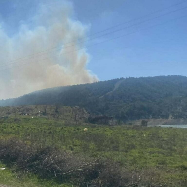 Çanakkale'de orman yangını çıktı!