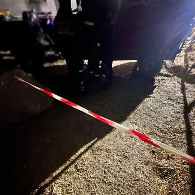 Feci ölüm! Besihanede yem karma makinesine sıkıştı