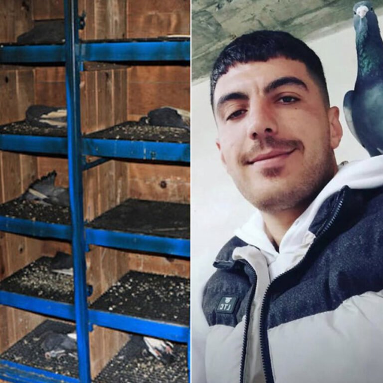 İki kuzen sosyal medyada küfürleşti..