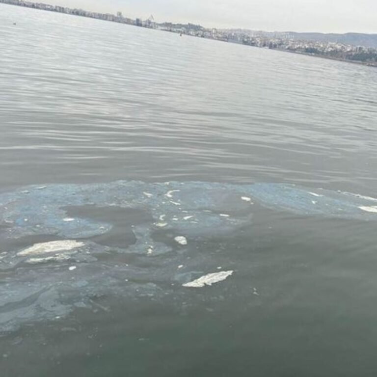 İzmir Körfezi'ni kirleten firmaya 8