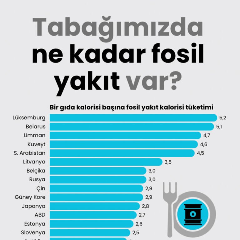 Tabağımızda ne kadar fosil yakıt var?