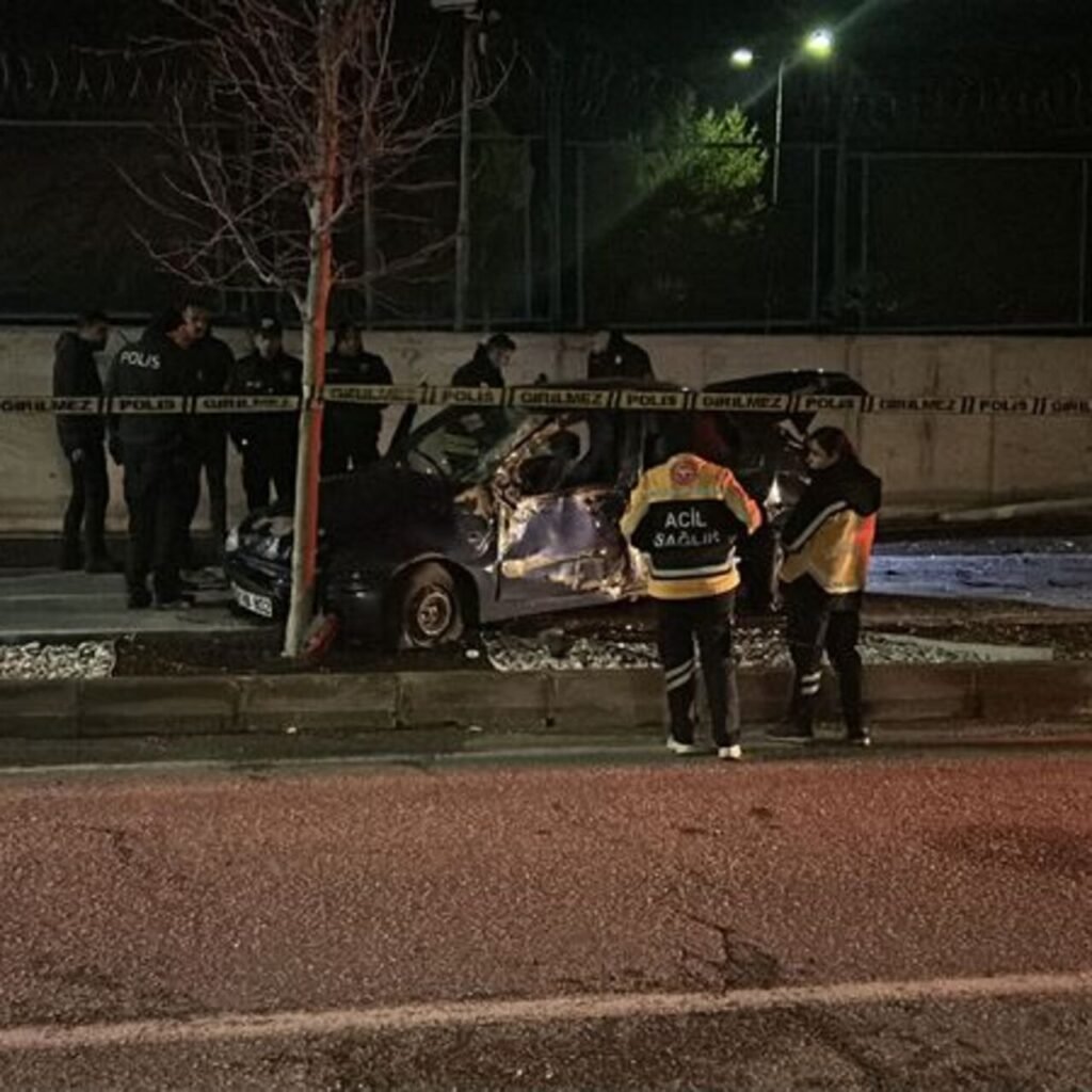 Ağaca çarpan otomobilin sürücüsü öldü