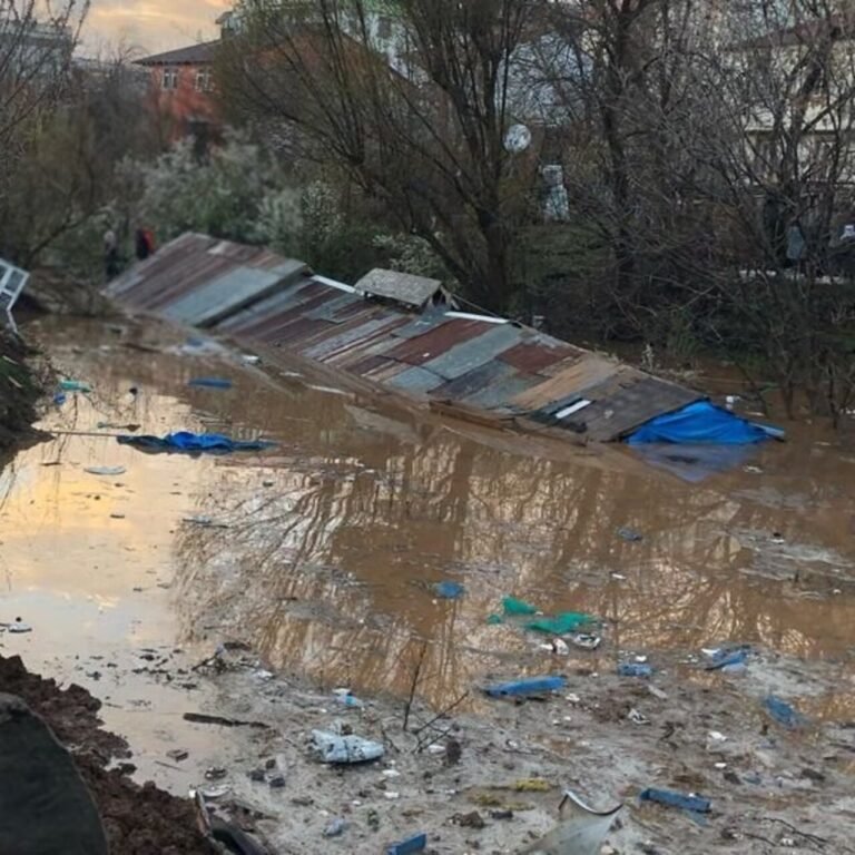 Bingöl'de sağanak: 2 ahıra su bastı, 5 hayvan öldü