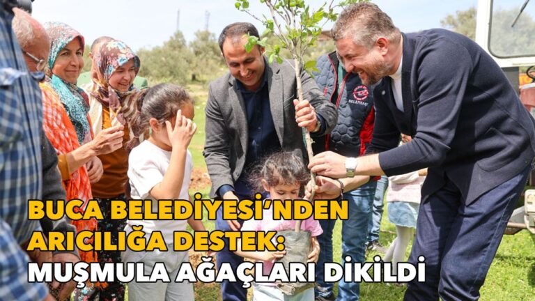 Buca Belediyesi’nden arıcılığa destek: İzmir toprakları muşmula ağaçları ile buluştu