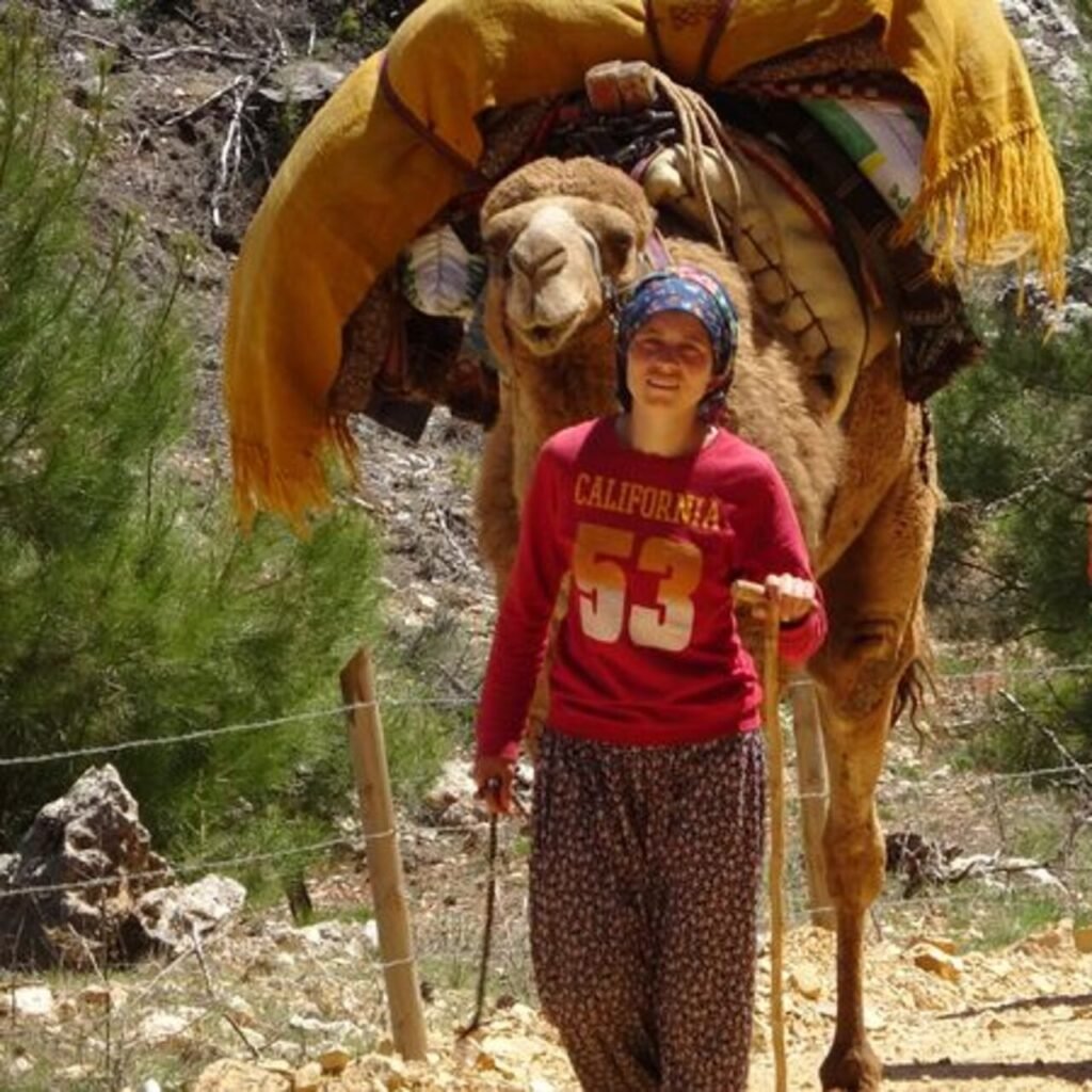 Sarıkeçililer göç yolculuğuna başladı