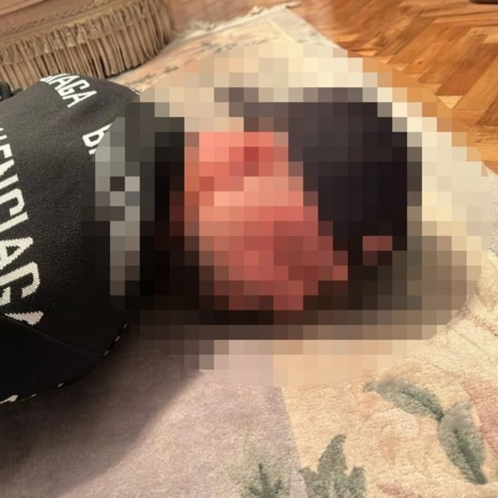 Sosyal medyada suç örgütünü öven şüpheliye gözaltı