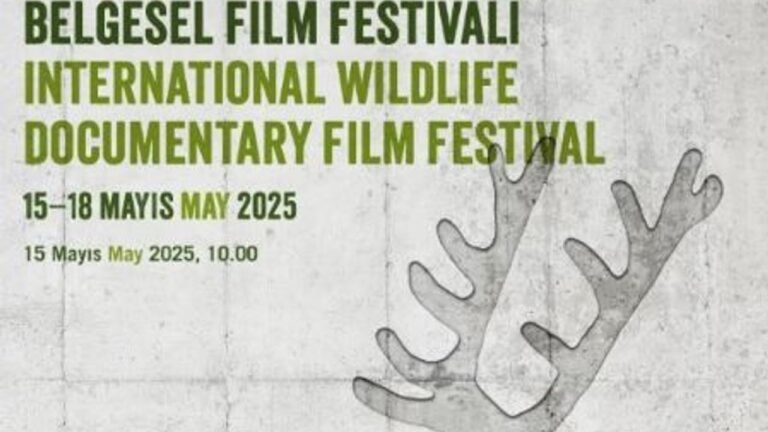 Ankara Uluslararası Yaban Hayatı Belgesel Film Festivali Başlıyor