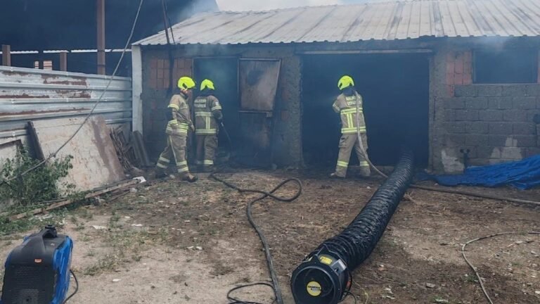 Balıkesir'de acı olay: 42 hayvan yangında telef oldu