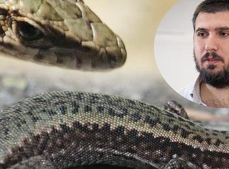 Kaçkar Dağları'nda ortaya çıktı: Dünya için yeni bir tür