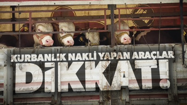 Salihli’de kurbanlık nakli yapan araçlara sıkı denetim