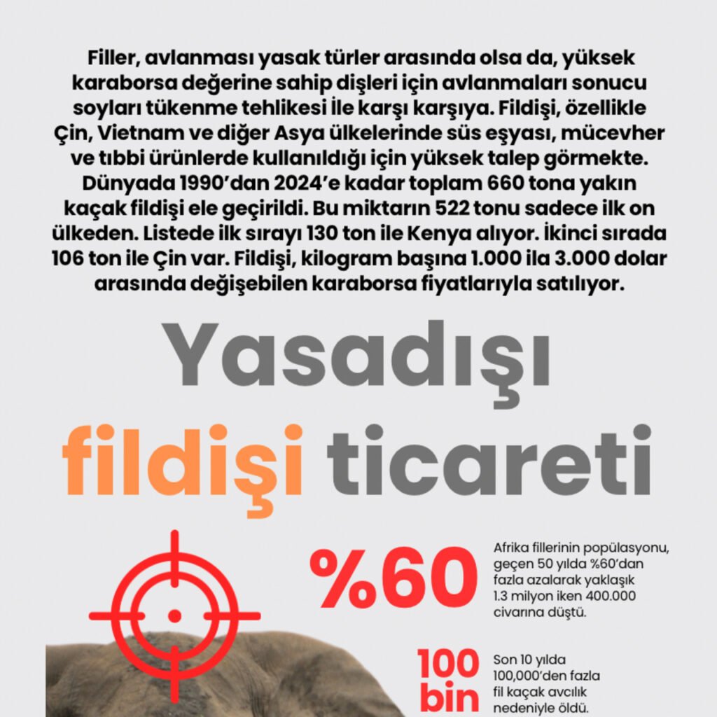 Yasadışı fildişi ticareti