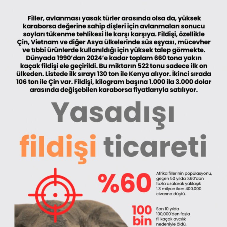Yasadışı fildişi ticareti