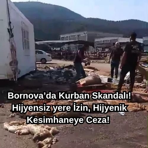 Başlık