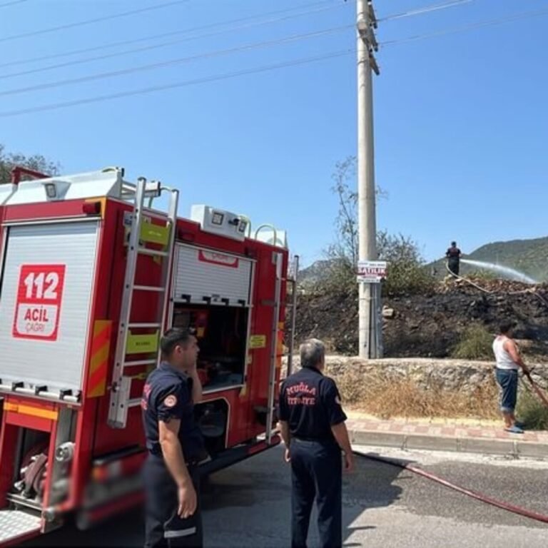 Bodrum'da otluk alan yangını