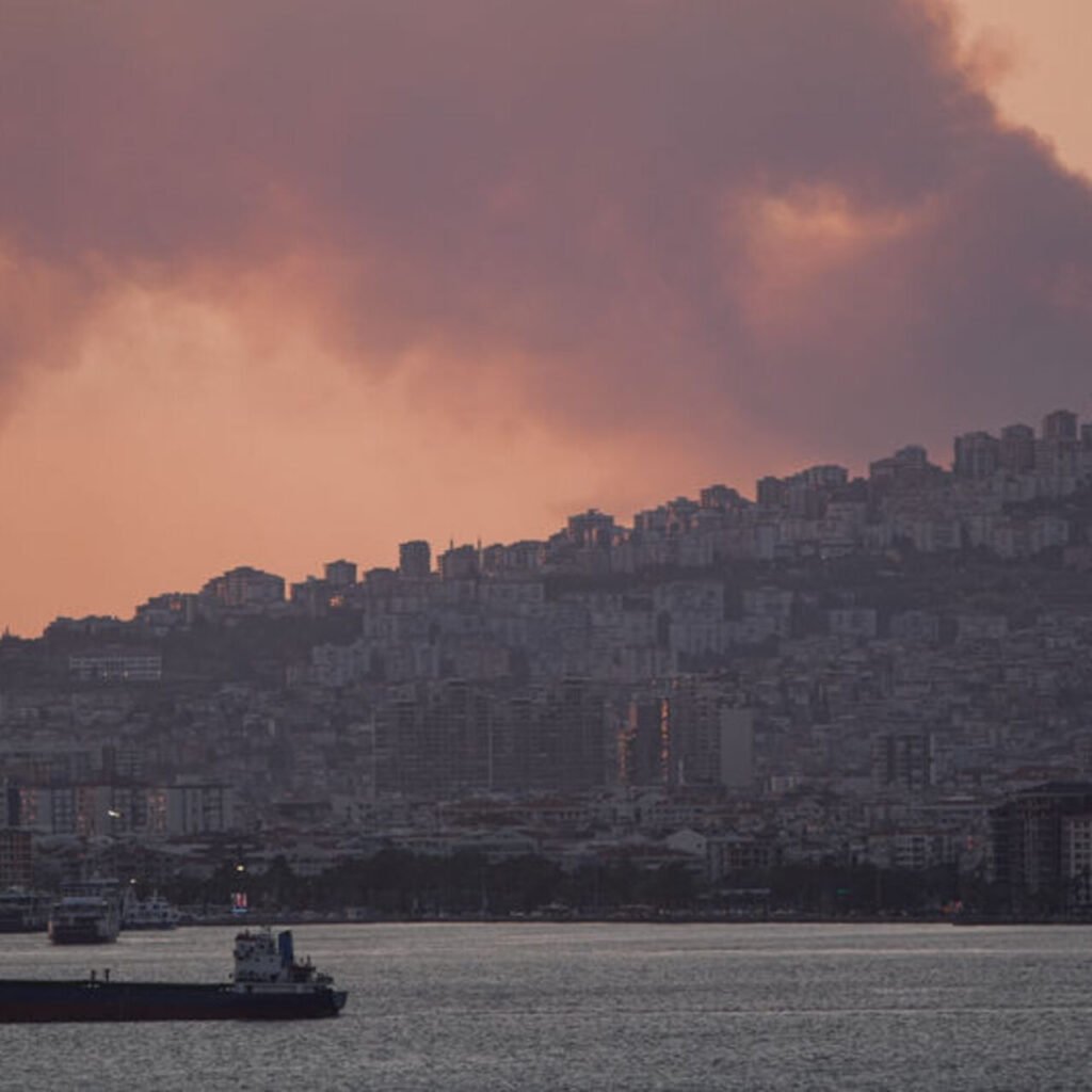 İzmir'deki orman yangını kontrol altında