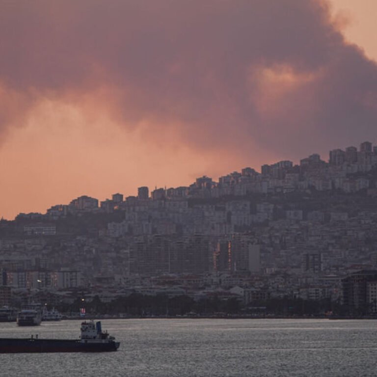 İzmir'deki orman yangını kontrol altında