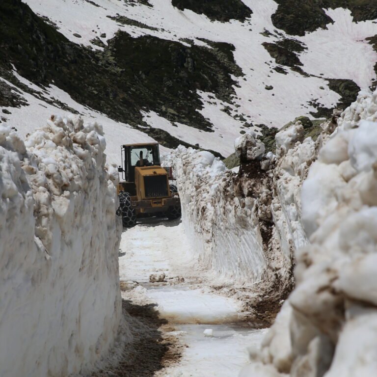 Rize'de haziran sonunda kaydedildi!