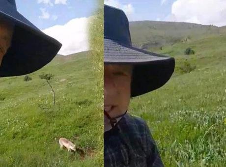 Sıradışı anlar! Mantar toplamaya çıktı şaşkına döndü