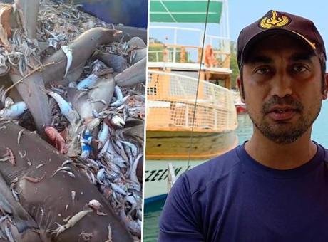 Sosyal medyada yayılan görüntü tatilcileri korkuttu: Turlar durma noktasına geldi
