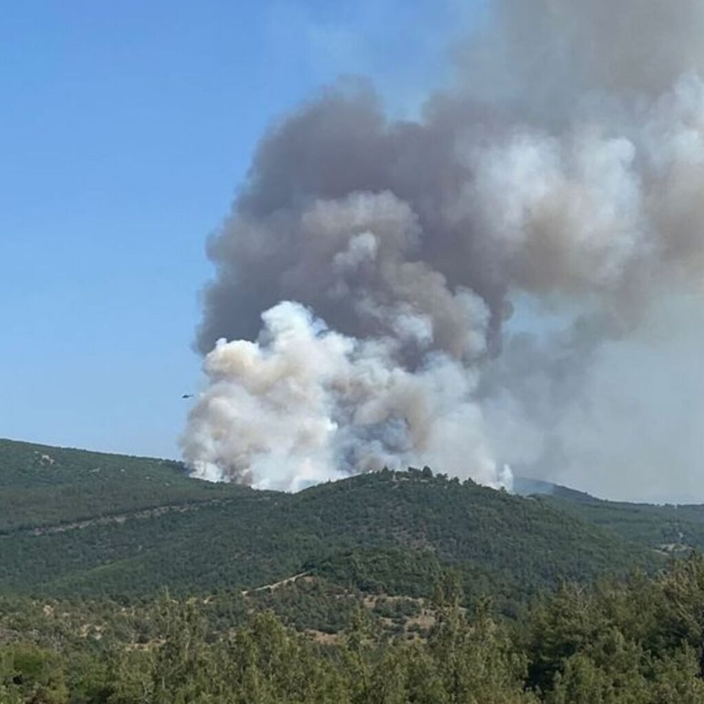Yangındaki biçerdöver iddiasına 5 gözaltı!