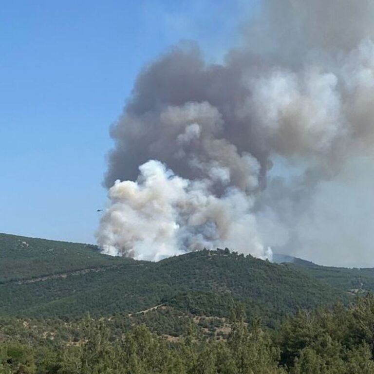 Yangındaki biçerdöver iddiasına 5 gözaltı!
