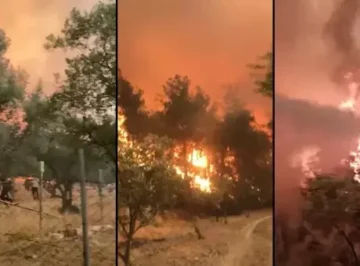 6881f9d9280d2d4b642c7280