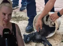 Kedisi içerdeyken evi yanan Ukraynalı kadın polisin kucağına bayıldı