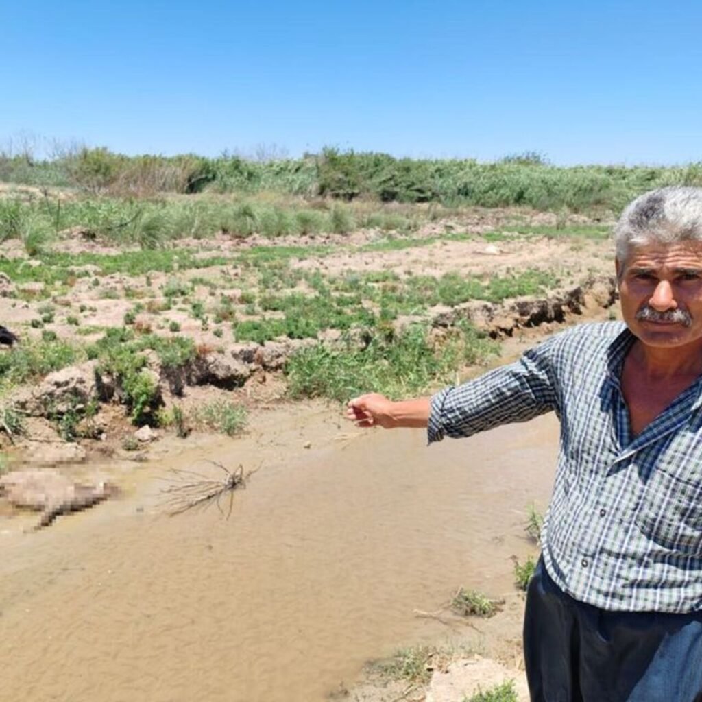 'Dereden su içen 40 küçükbaş öldü' iddiası