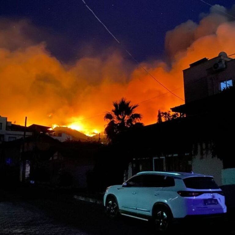 Hatay’daki orman yangınına ilişkin 1 gözaltı