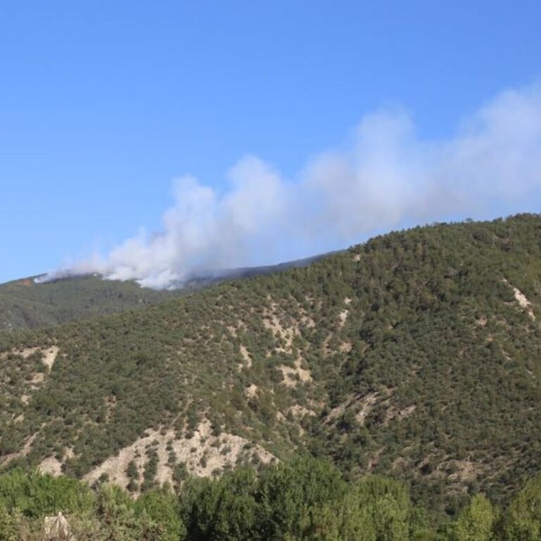 Kastamonu ve Aydın'da orman yangını!