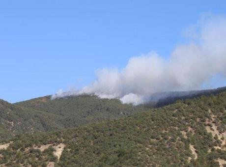 Kastamonu'da orman yangını! Havadan ve karadan müdahale ediliyor