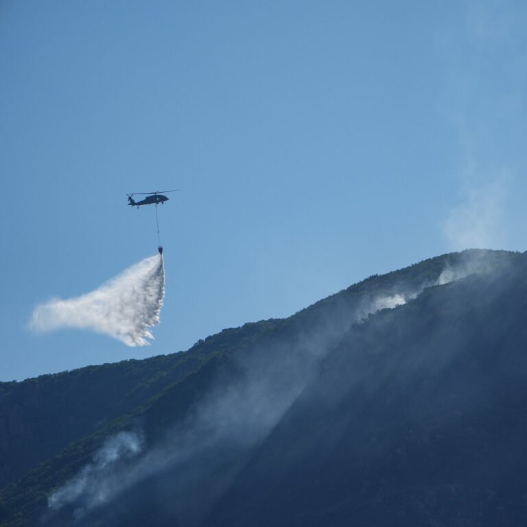 Orman yangınlarında son durum! İzmir'deki yangın 3