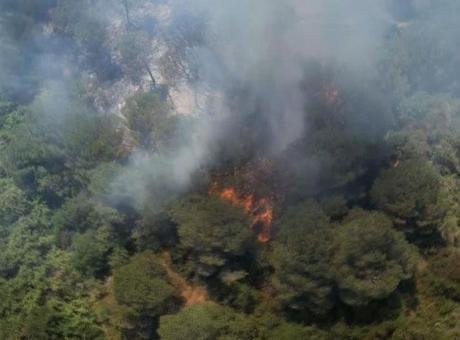 Sultangazi'de ormanlık alanda çıkan yangın kontrol altına alındı