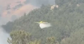 Devlet seferber oldu: 128 milyon liralık destek gönderildi