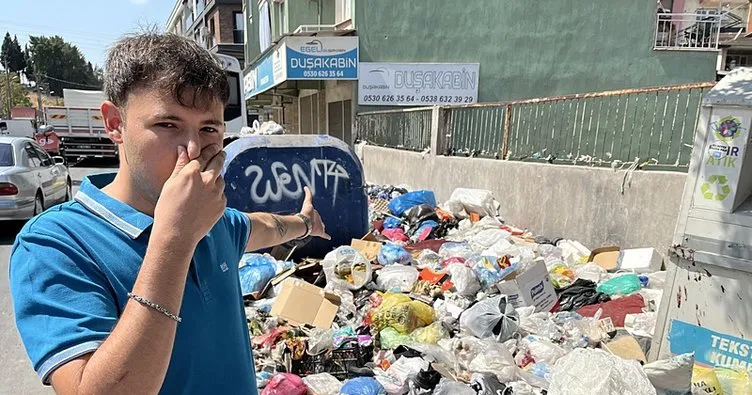 İzmir'de çöp krizi sinek istilasına dönüştü: Sağlığı tehdit ediyor! 'Enfeksiyon oluşturabilir’