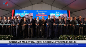 Green and Cream Modern Makeup Facebook Cover