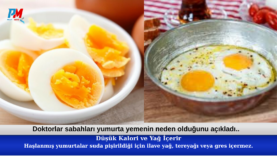 Green and Cream Modern Makeup Facebook Cover (2)