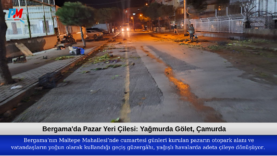 Green and Cream Modern Makeup Facebook Cover (3)