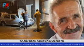 Green and Cream Modern Makeup Facebook Cover (4)